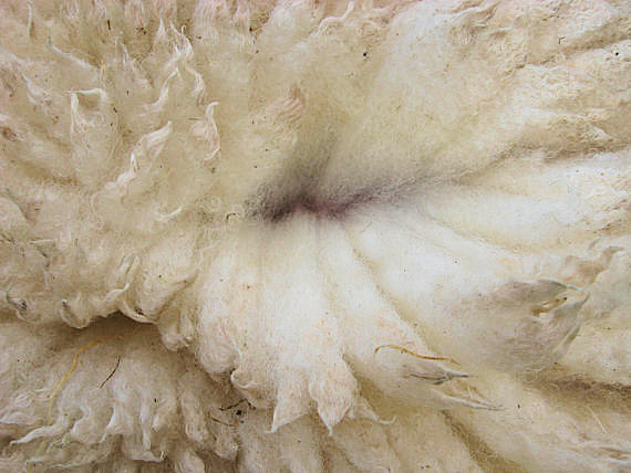 Boreray Fleece