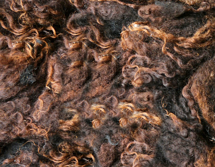 3 x Hebridean Fleeces + US P&P